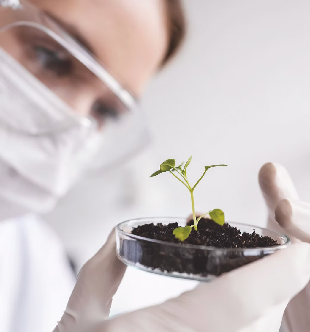 Scientist testing plant sample in lab