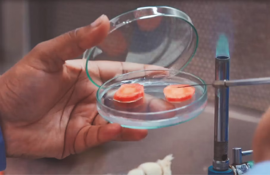 Sample analysis in the lab