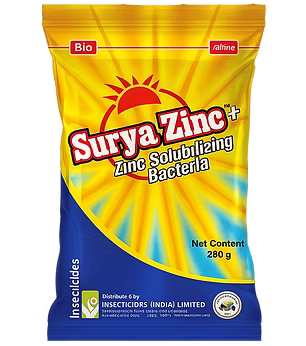 Surya Zinc Plus